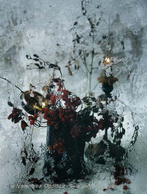 Winter still life with kalinoj